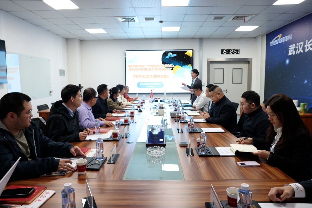 長盈通助力深海能源技術攻關——海南省國際合作項目中期檢查會在漢成功召開
